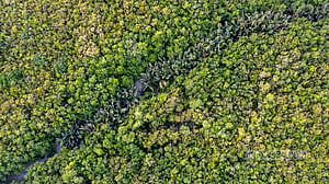 ১৮ সেপ্টেম্বর ২০২৬
