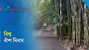 বিশ্ব বাঁশ দিবস কেন পালন করা হয়