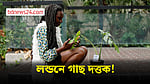 দত্তক নিয়ে গাছের অভিভাবক হলেন লন্ডনের বৃক্ষপ্রেমীরা, দিলেন নতুন নাম