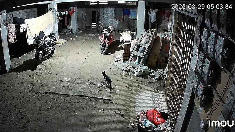 ২৯ অগাস্ট ভোর ৫টা ৩: রাকিবের বাইক তার বাসার গ্যারেজে রাখা। 