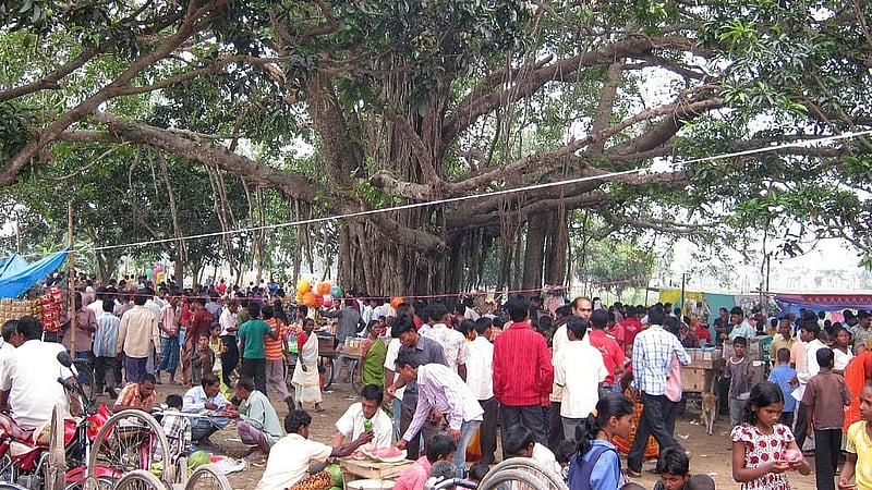 শতবর্ষী বিশাল এক বটগাছের সুশীতল ছায়ায় হয় এ মেলার আয়োজন, ছবি: লেখক।
