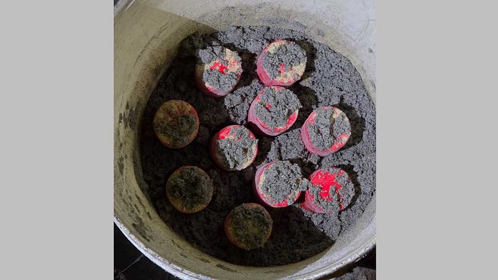 যাত্রাবাড়ীতে পরিত্যক্ত ব্যাগে ১০ হাতবোমা