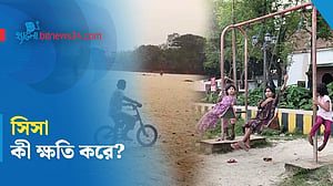 সিসা যেভাবে ক্ষতি করে শিশুদের