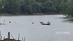 বাংলাদেশ থেকে পাচার করা সারে মিয়ানমারে বোমা তৈরি হচ্ছে?