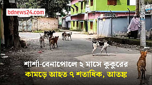 শার্শা-বেনাপোলে কুকুরের কামড়ে আহত সাত শতাধিক