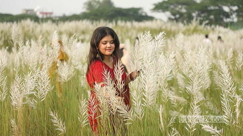 &amp;nbsp;ঢাকার দক্ষিণ কেরাণীগঞ্জের সারিঘাটের কাশবনে বেড়াতে এসে ছবি তুলছেন দর্শনার্থীরা। ছবি: শামছুল হক রিপন