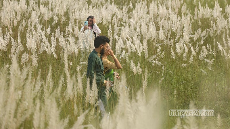 ঢাকার দক্ষিণ কেরাণীগঞ্জের সারিঘাটে কাশবনে প্রতিদিন বেড়াতে আসছেন আশেপাশের এলাকার মানুষ। ছবি: শামছুল হক রিপন