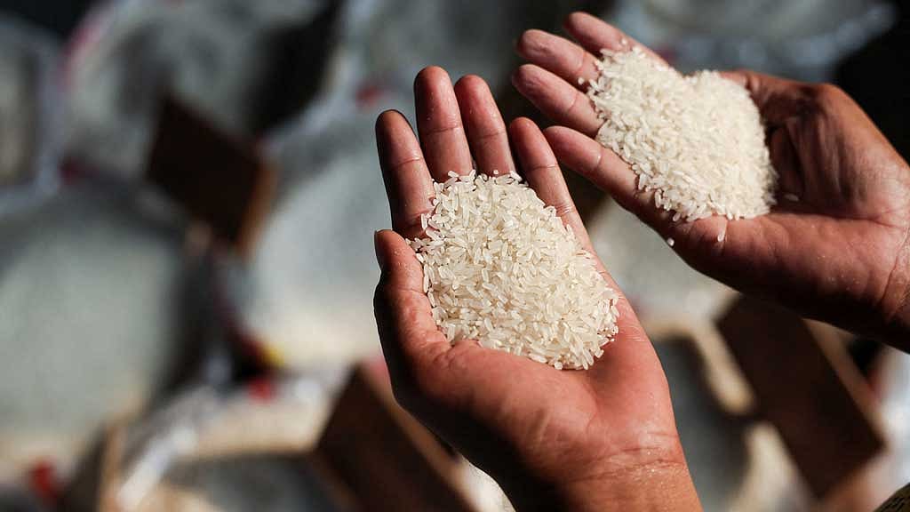 ভাত তো খাচ্ছেন, আপনার চাল কতটা নিরাপদ