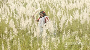 সারিঘাটে অপরূপ কাশবন