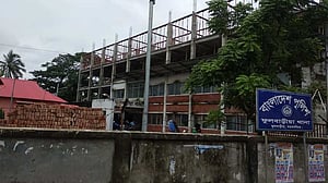 ময়মনসিংহে ভিমরুলের কামড়ে নানি-নাতনির মৃত্যু