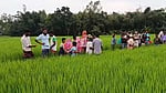 মাছ ধরার ফাঁদ আনতে গিয়ে মিলল নারীর মরদেহ