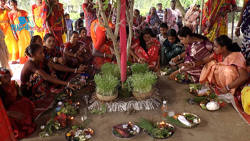 নেচে-গেয়ে কারাম উৎসবে মাতল মাহাতোরা