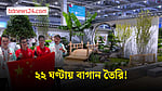 চীনে ২২ ঘণ্টায় তৈরি হল দৃষ্টিনন্দন বাগান