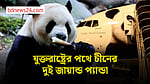 ১০ বছরের জন্য যুক্তরাষ্ট্রের পথে চীনের দুটি প্যান্ডা