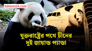 ১০ বছরের জন্য যুক্তরাষ্ট্রের পথে চীনের দুটি প্যান্ডা
