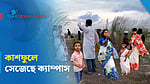 কাশফুলে সেজেছে নেত্রকোণা বিশ্ববিদ্যালয়