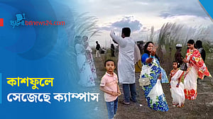 কাশফুলে সেজেছে নেত্রকোণা বিশ্ববিদ্যালয়