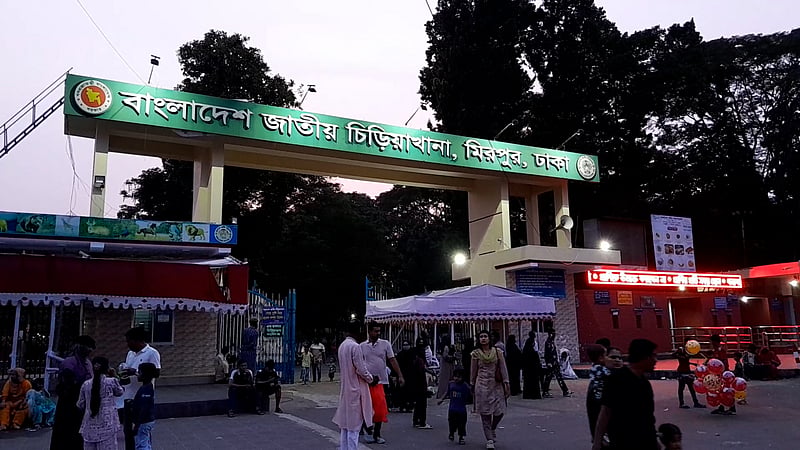 জাতীয় চিড়িয়াখানায় একদিন