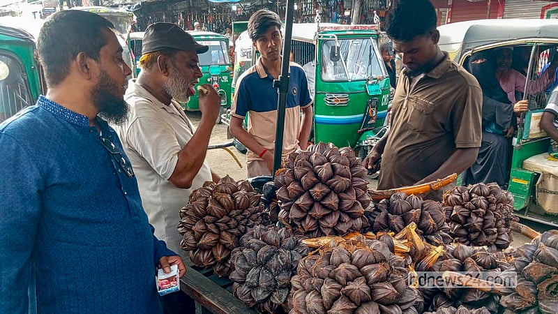 ভ্যানে গোলপাতার ফল নিয়ে বসেছেন বাদল মিয়া। খুলনা অঞ্চল থেকে মাঝে-মধ্যে এ ফল নিয়ে আসে কেউ কেউ, তাদের কাছ থেকে সংগ্রহ করে তা জুরাইন এলাকায় বেচেন বাদল।&amp;nbsp; ছবি: আব্দুল্লাহ আল মমীন