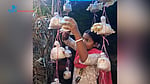 মাশরুম চাষে ভাগ্য বদলের চেষ্টা