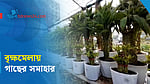 আফতাবনগরে দুই সপ্তাহব্যাপী বৃক্ষমেলা