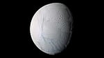 ‘শনির চাঁদের কৃত্রিম পরিবেশে’ বেঁচে থাকল পৃথিবীর অণুজীব
