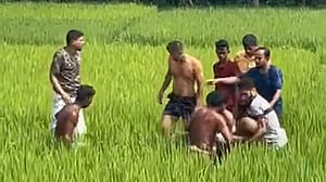 ধান ক্ষেতে ছিঁড়ে পড়া বিদ্যুতের তারে জড়িয়ে ২ কৃষকের মৃত্যু