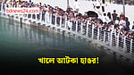 দক্ষিণ কোরিয়ায় খালে আটকা পড়েছে হাঙর, দেখতে মানুষের ভিড়