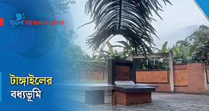 গণহত্যার নীরব সাক্ষী টাঙ্গাইলের বধ্যভূমি
