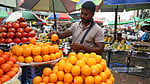 ডেঙ্গুর প্রকোপে মাল্টার দাম চড়া