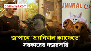 জাপানে প্রথমবার ‘অ্যানিমাল ক্যাফেতে’ সরকারি জরিপ