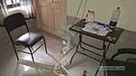 রায়পুর উপজেলা স্বাস্থ্য কমপ্লেক্সে ফ্যান খুলে পড়ে আহত চিকিৎসক