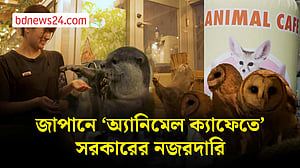 জাপানে প্রথমবার ‘অ্যানিমেল ক্যাফেতে’ সরকারি জরিপ