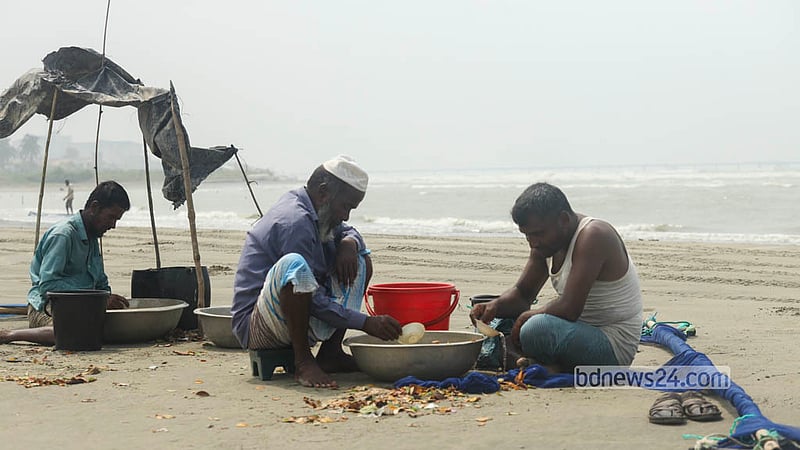 কক্সবাজারে সাগরে জাল টেনে ধরা চিংড়ি পোনা বিক্রির উপযোগী করতে সৈকতে বাছাই করা হচ্ছে। ছবি: শামছুল হক রিপন