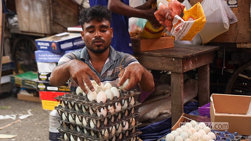 রাজধানীর কারওয়ান বাজারে খাঁচায় হাঁসের ডিম সাজিয়ে রাখছেন এক বিক্রেতা। বাজারে হাঁসের ডিমের দামও চড়া, প্রতি ডজন বিক্রি হচ্ছে ১৮০ টাকায়। ছবি: শামছুল হক রিপন