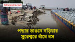 শরীয়তপুরের নড়িয়ার সুরেশ্বর বাঁধ ধসে আতঙ্ক, ঝুঁকিতে বাজার-লঞ্চঘাট