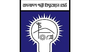 পল্লী বিদ্যুতায়ন বোর্ডের চেয়ারম্যান হলেন মাহবুবুল হক