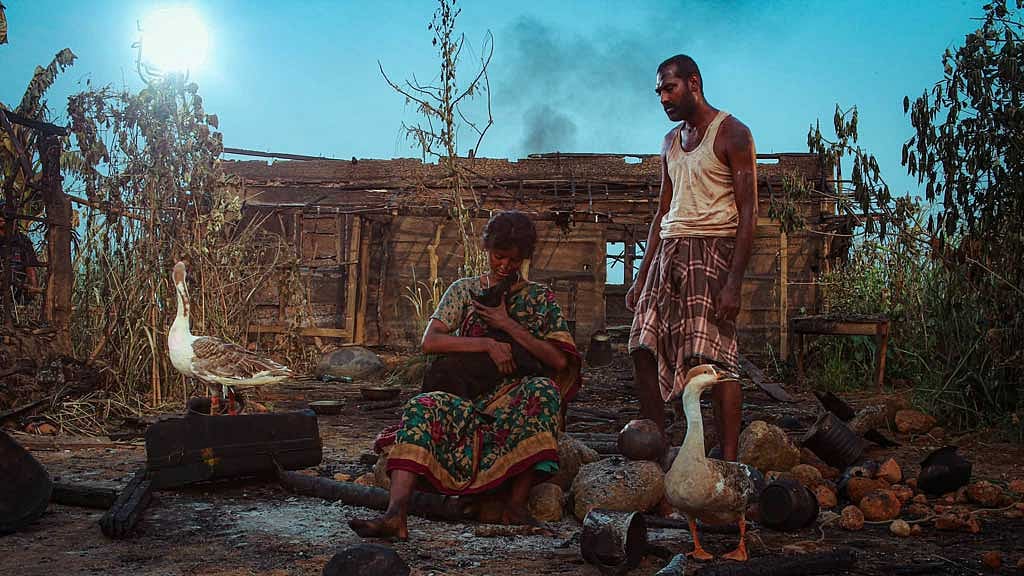 কানাডার উৎসবে তিন বিভাগে সেরা ‘রইদ’