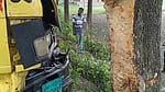 যশোরে নিয়ন্ত্রণ হারিয়ে গাছে কভার্ডভ্যানের ধাক্কা, চালকের সহকারী নিহত