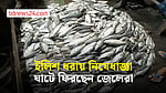 বৃহস্পতিবার থেকে ইলিশ ধরা নিষেধ, ঘাটে ফিরছেন জেলেরা