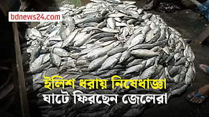 বৃহস্পতিবার থেকে ইলিশ ধরা নিষেধ, ঘাটে ফিরছেন জেলেরা