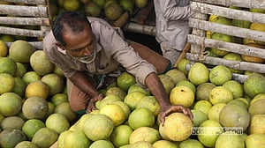 বাজারে দেশি ফল