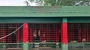 গোপালগঞ্জে শিক্ষকের বিরুদ্ধে নির্যাতনের অভিযোগ, স্কুল ছাড়ল চতুর্থ শ্রেণির ছাত্রী