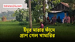 নোয়াখালীতে ইঁদুর মারার ফাঁদে বিদ্যুৎস্পৃষ্ট হয়ে খামারির মৃত্যু