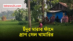 নোয়াখালীতে ইঁদুর মারার ফাঁদে বিদ্যুৎস্পৃষ্ট হয়ে খামারির মৃত্যু