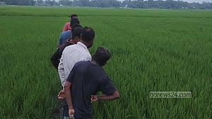 কুমিল্লায় ‘ধর্ষণের পর’ স্কুলছাত্রী হত্যা: কক্সবাজারে তরুণ আটক