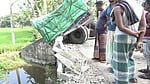 লালমনিরহাটে সকালে হাঁটতে বেরিয়ে ট্রাকচাপায় দুই নারীর মৃত্যু