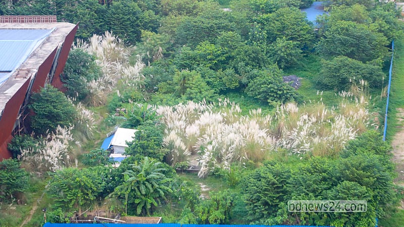 আবাহনী ক্রীড়া কমপ্লেক্সের নির্মাণ কাজ বন্ধ থাকায় একটি অংশ ভরে গেছে ঝোপঝাড়ে। ছবি: আব্দুল্লাহ আল মমীন
