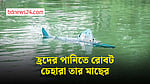 চীনের হ্রদে এবার টহল দিচ্ছে রোবট মাছ