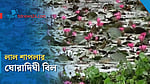 দর্শনার্থী টানছে ঘোরাদিঘী বিলের লাল শাপলা